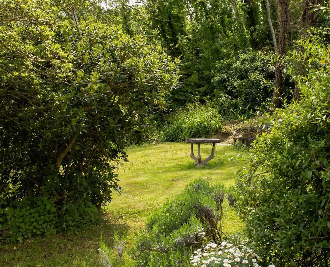 Appartamento Con Piscina E Giardino - Lavanda Ghizzano