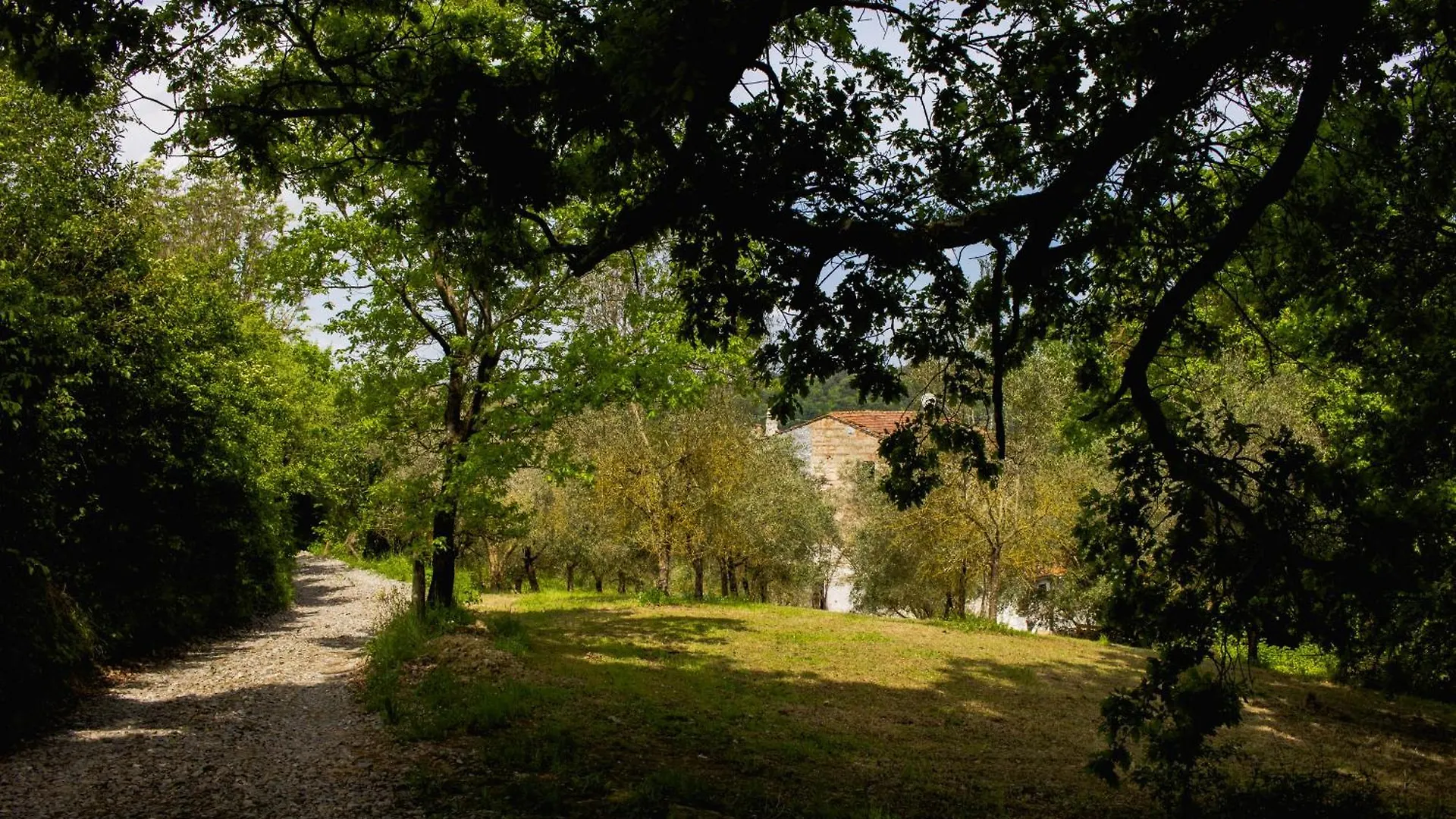 Appartamento Con Piscina E Giardino - Lavanda Ghizzano
